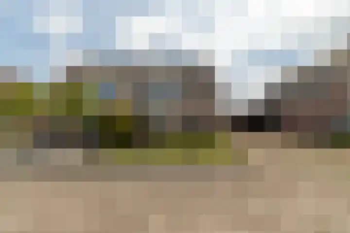 It Foarfjild 15 Tjerkgaast thumbnail 4