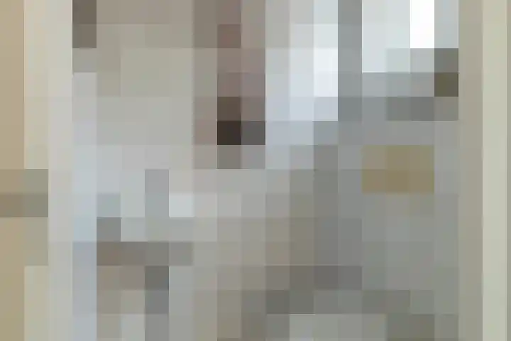 It Foarfjild 15 Tjerkgaast thumbnail 6