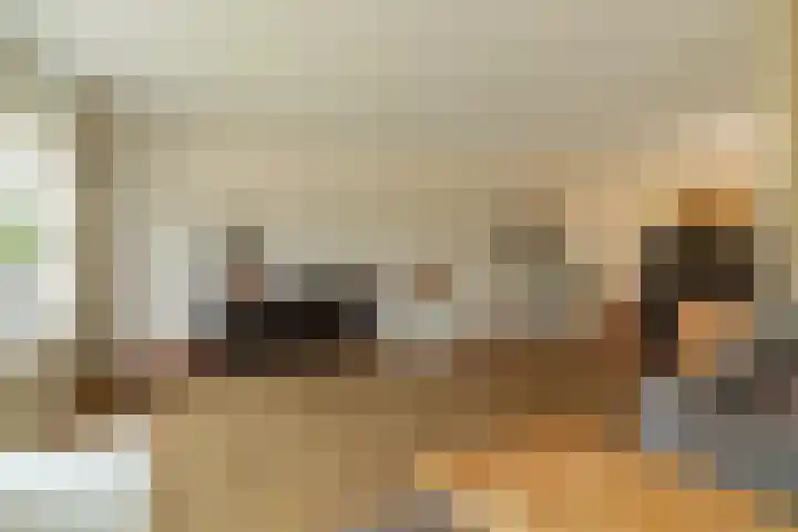 It Foarfjild 15 Tjerkgaast thumbnail 7