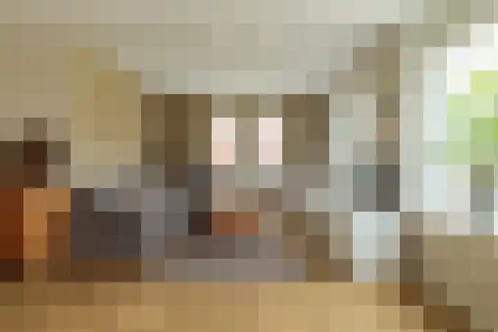 It Foarfjild 15 Tjerkgaast thumbnail 8