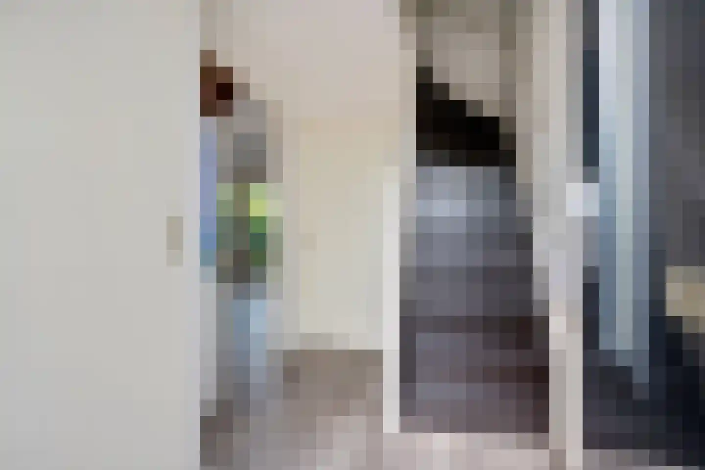 It Gerslân 17 Heeg thumbnail 16