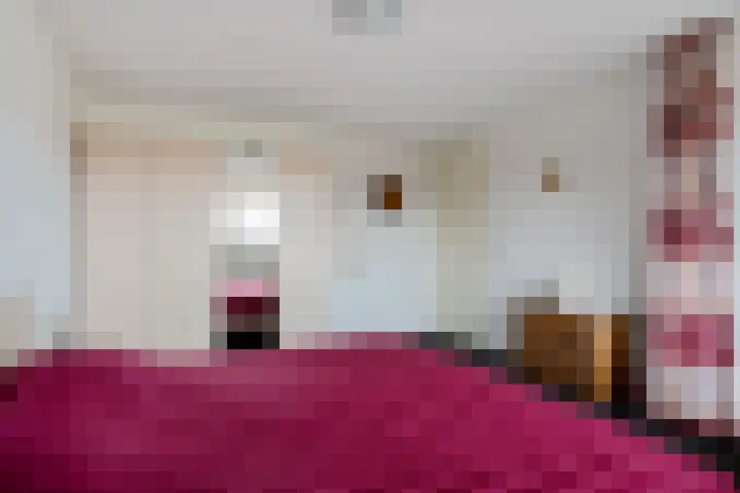 It Gerslân 17 Heeg thumbnail 20