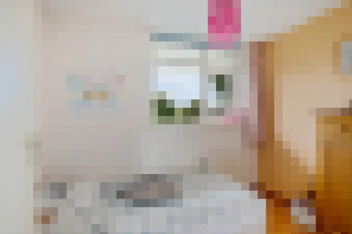 It Gerslân 17 Heeg thumbnail 24