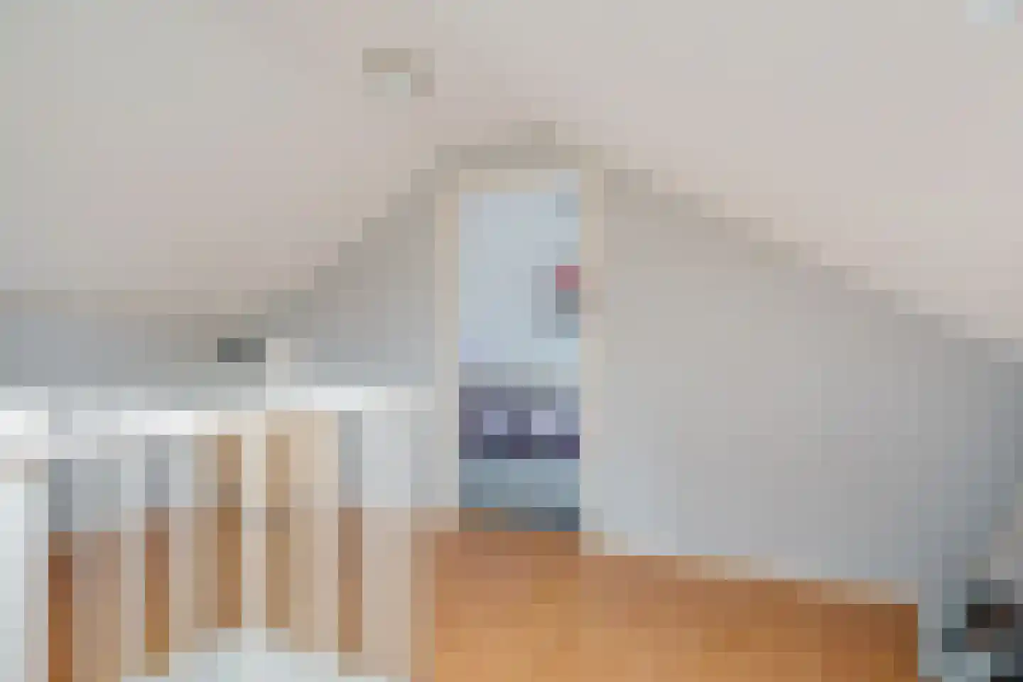 It Gerslân 17 Heeg thumbnail 30