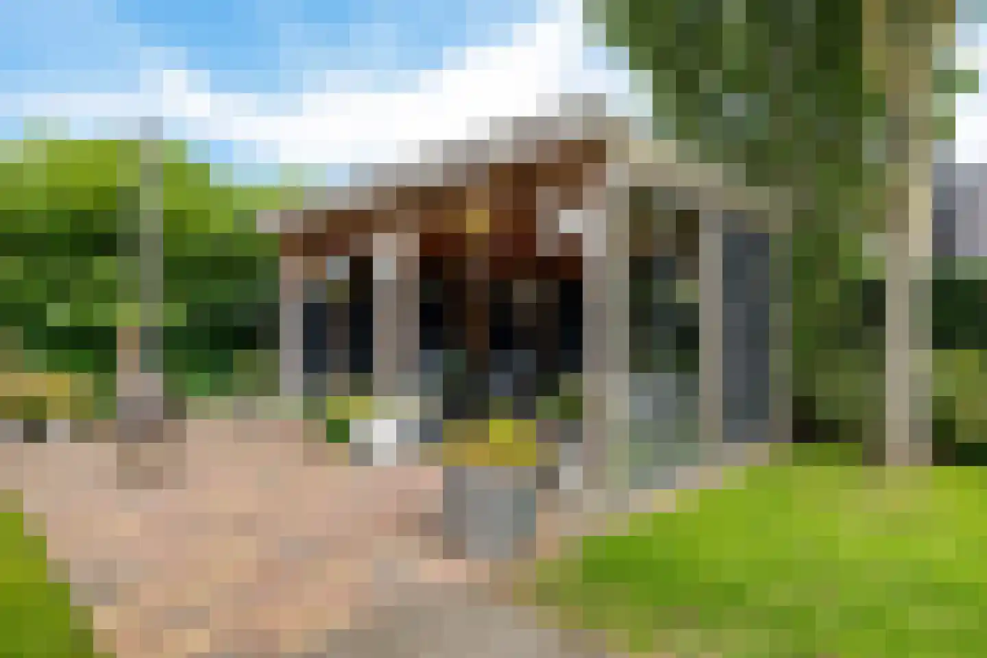 It Gerslân 17 Heeg thumbnail 39