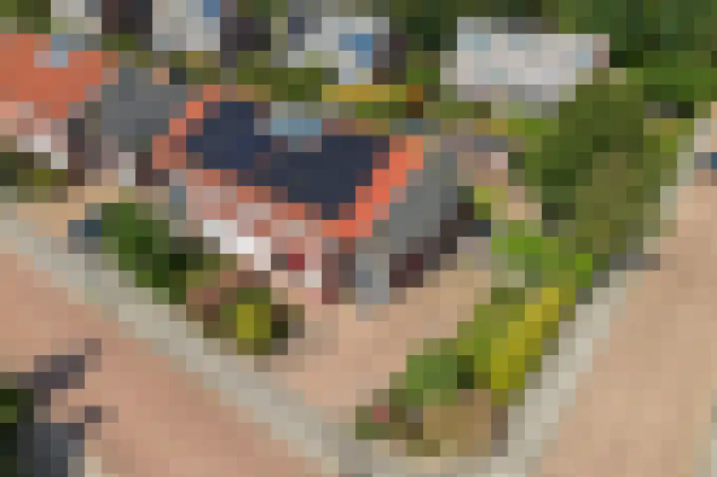 It Gerslân 17 Heeg thumbnail 40