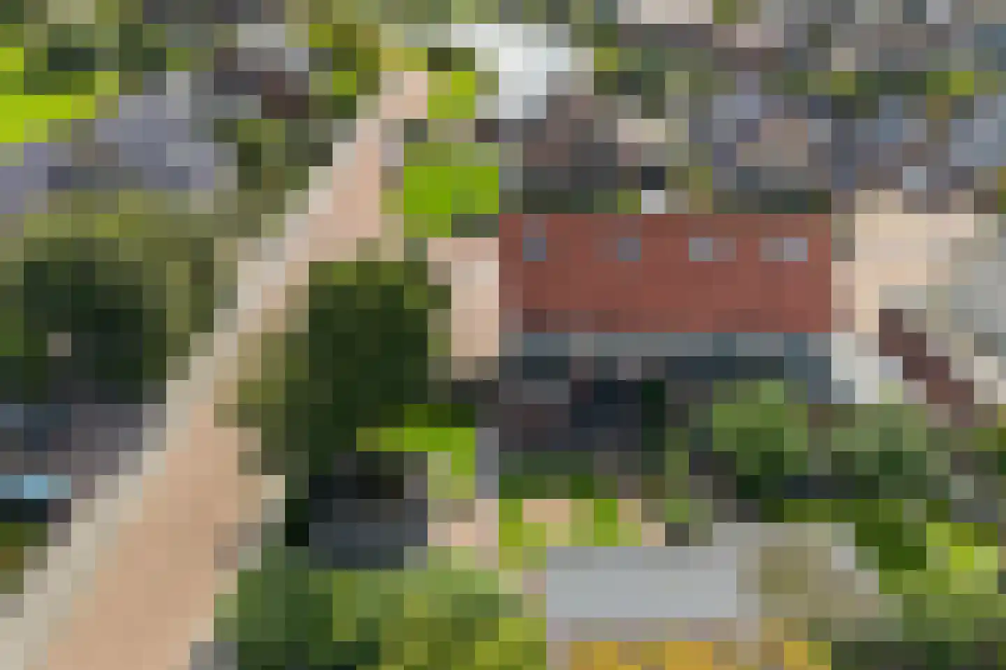 It Gerslân 17 Heeg thumbnail 47