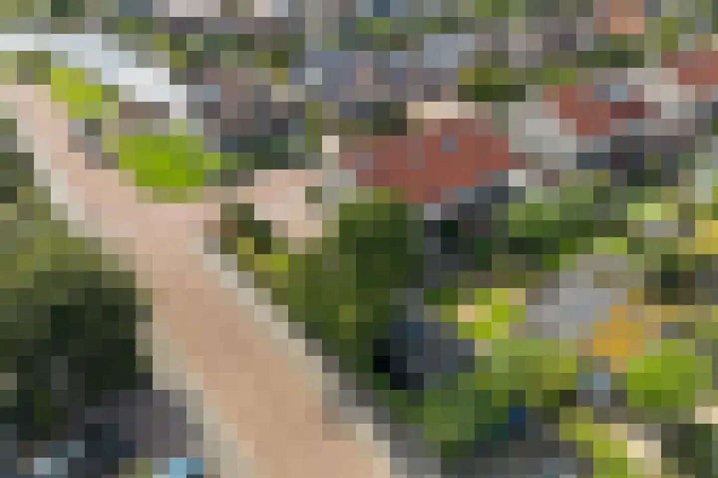 It Gerslân 17 Heeg thumbnail 48