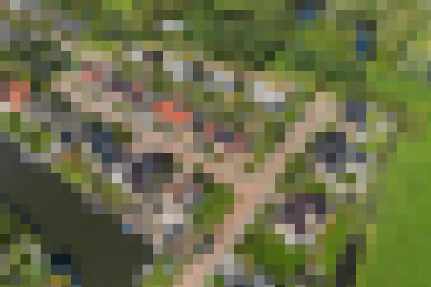 It Gerslân 17 Heeg thumbnail 50