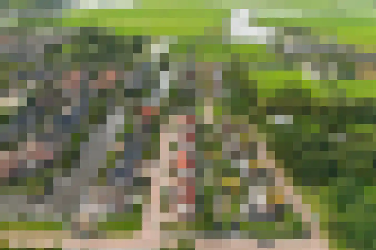 It Gerslân 17 Heeg thumbnail 52