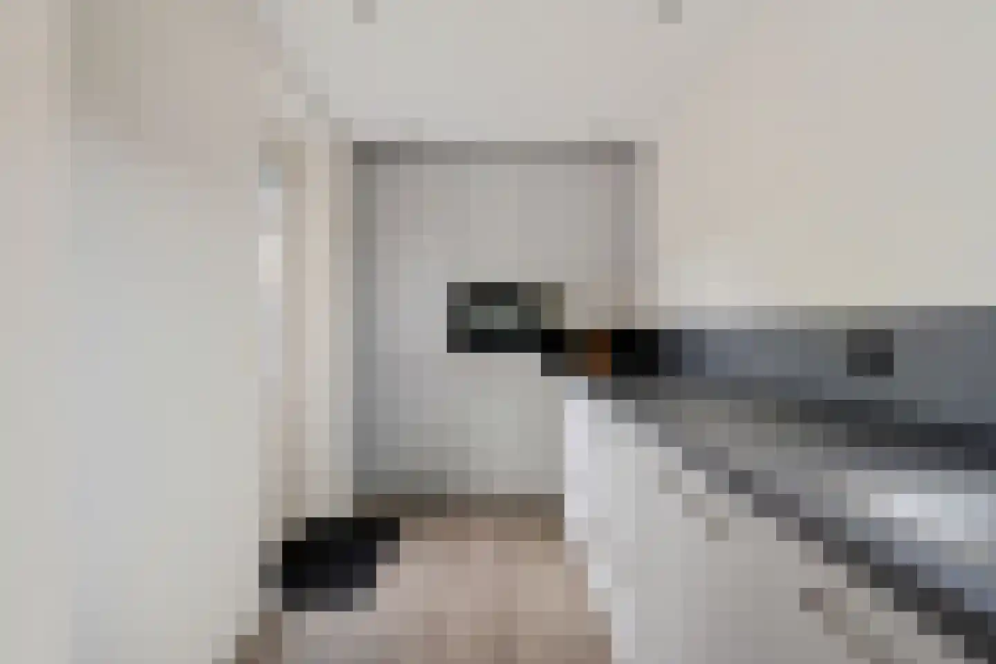 It Gerslân 17 Heeg thumbnail 7