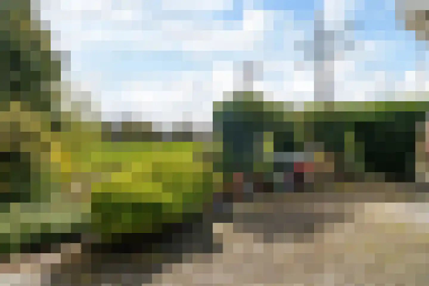 It Giele Fjild 11 Goutum thumbnail 19