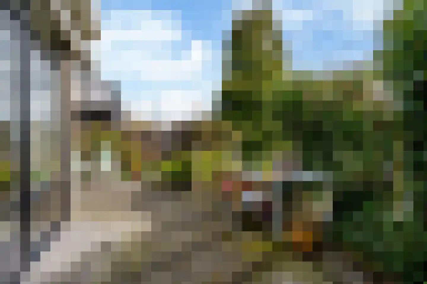 It Giele Fjild 11 Goutum thumbnail 21