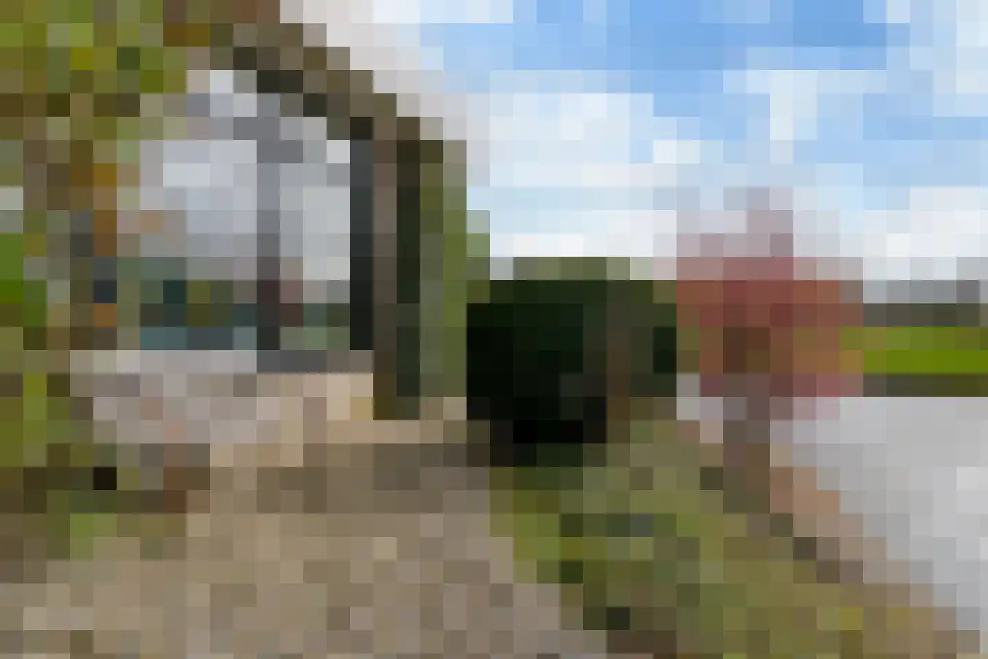 It Giele Fjild 11 Goutum thumbnail 22