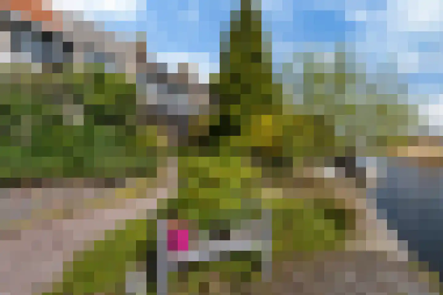 It Giele Fjild 11 Goutum thumbnail 25