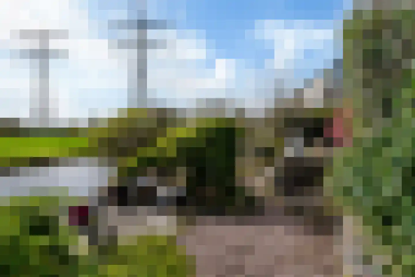 It Giele Fjild 11 Goutum thumbnail 26