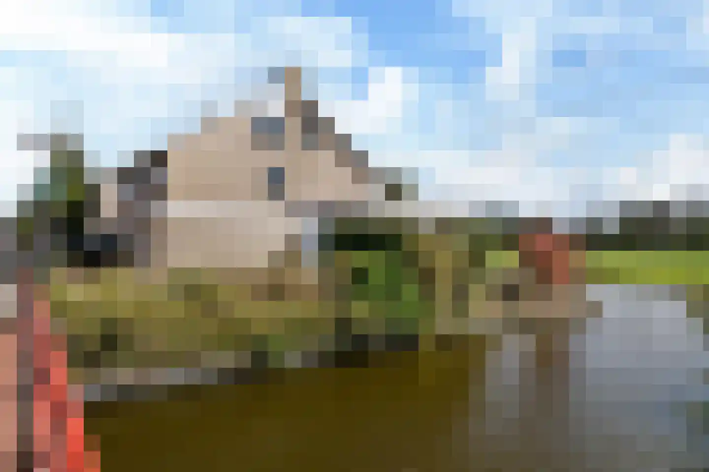 It Giele Fjild 11 Goutum thumbnail 28