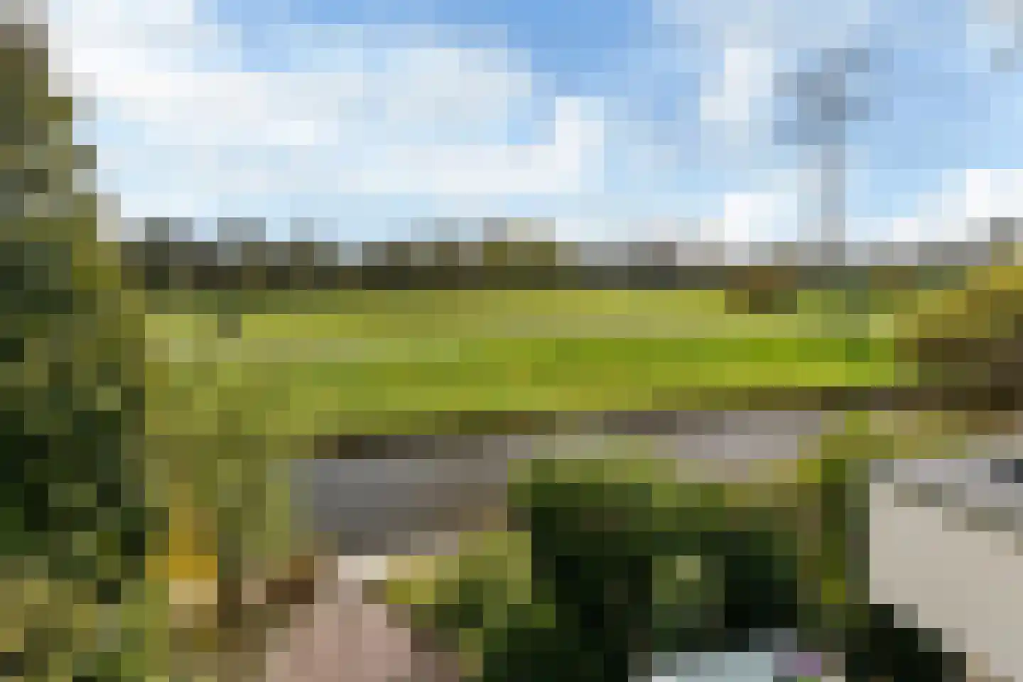 It Giele Fjild 11 Goutum thumbnail 34