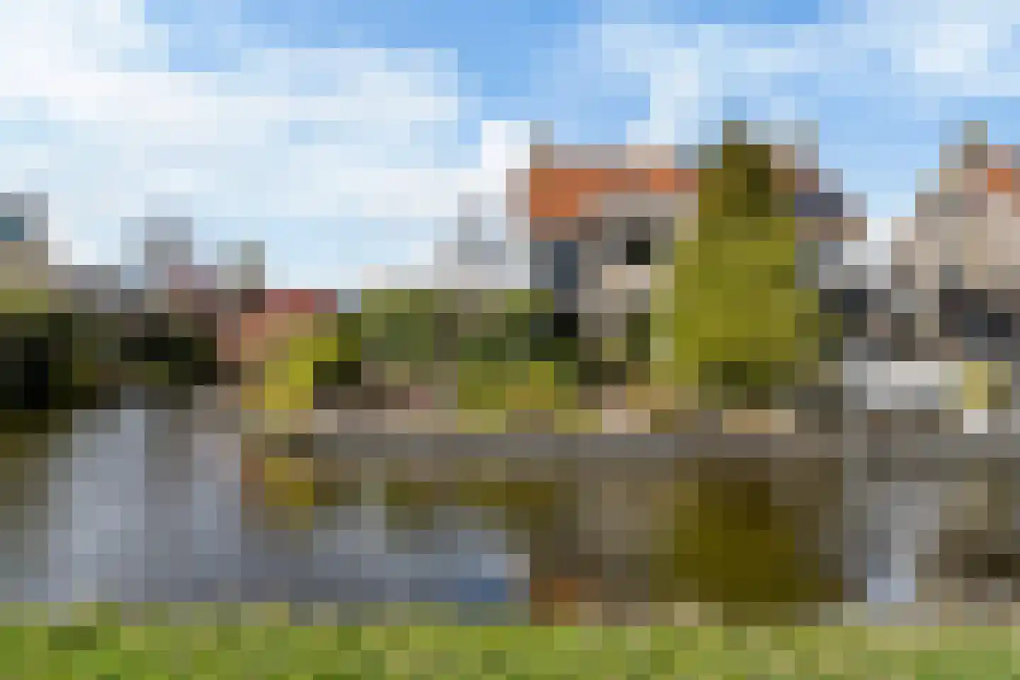 It Giele Fjild 11 Goutum thumbnail 5