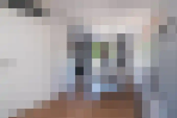 It Giele Fjild 12 Goutum thumbnail 10