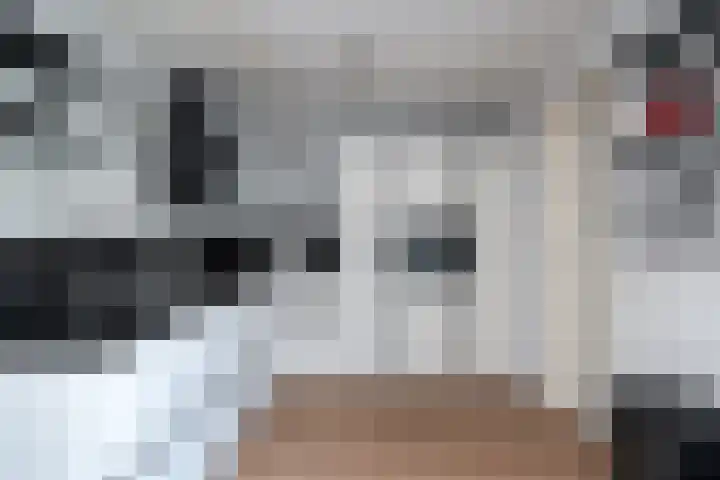 It Giele Fjild 12 Goutum thumbnail 12