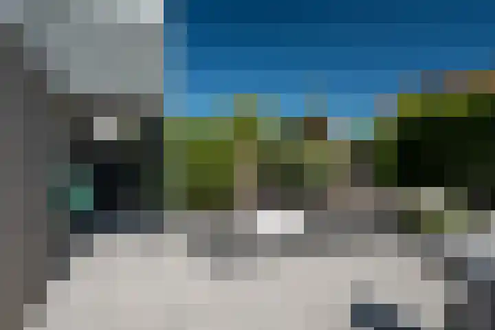 It Giele Fjild 12 Goutum thumbnail 16