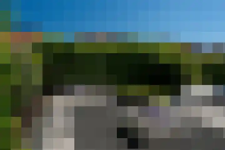 It Giele Fjild 12 Goutum thumbnail 17