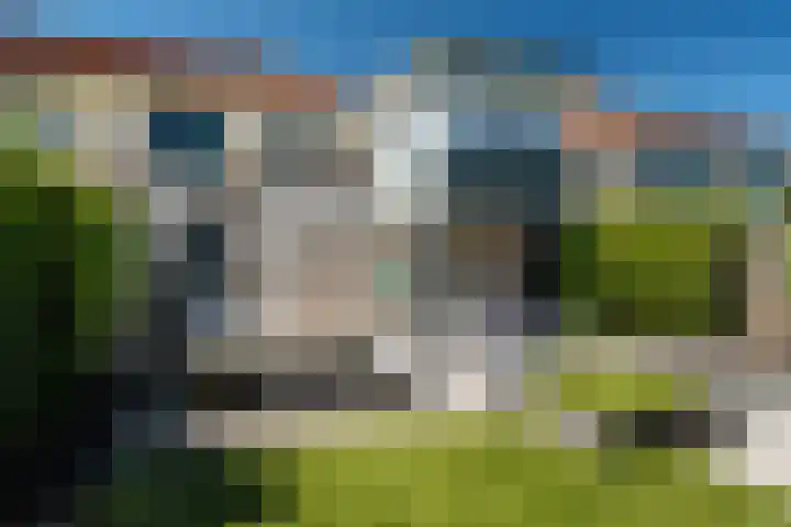 It Giele Fjild 12 Goutum thumbnail 18