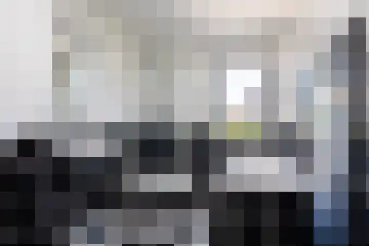 It Giele Fjild 12 Goutum thumbnail 28
