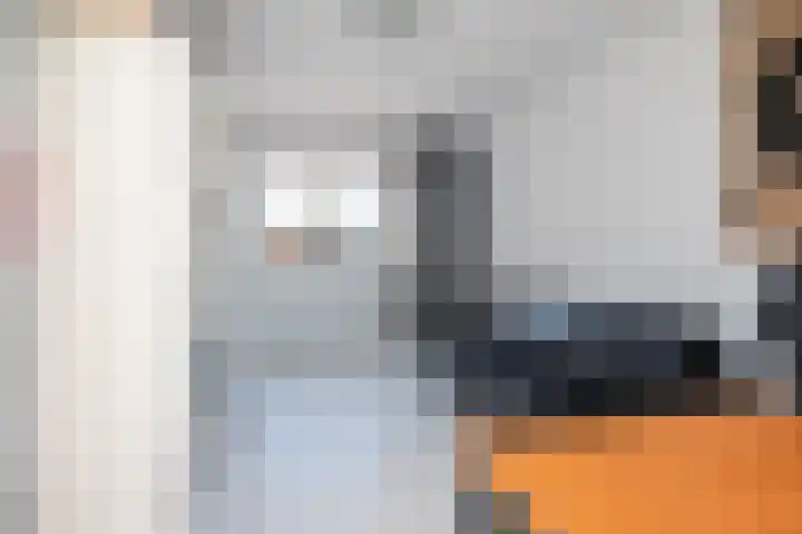 It Giele Fjild 12 Goutum thumbnail 32
