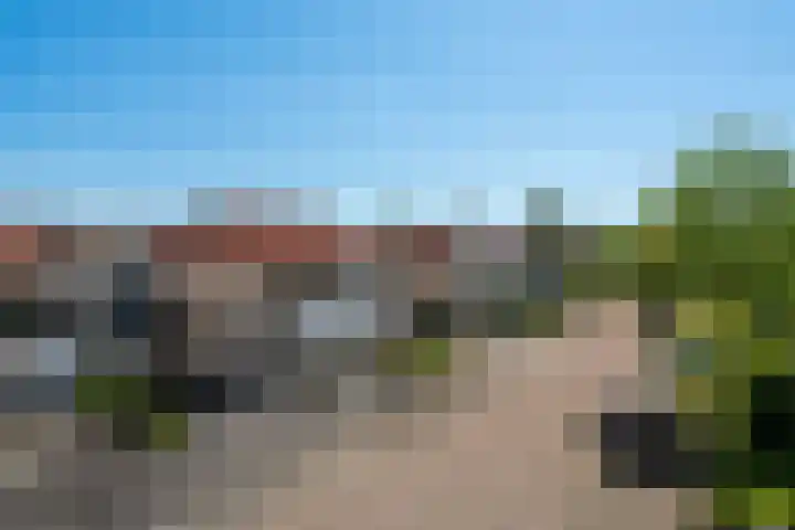 It Giele Fjild 12 Goutum thumbnail 4