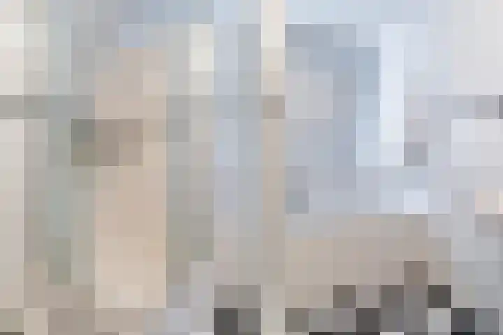 It Giele Fjild 53 Goutum thumbnail 25