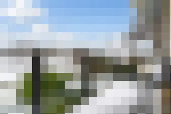 It Giele Fjild 53 Goutum thumbnail 26