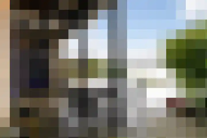 It Giele Fjild 53 Goutum thumbnail 30