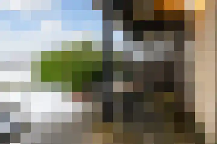 It Giele Fjild 53 Goutum thumbnail 31