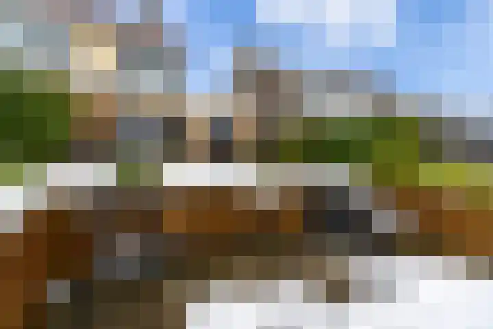 It Giele Fjild 53 Goutum thumbnail 33