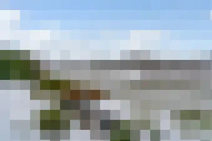 It Giele Fjild 53 Goutum thumbnail 34