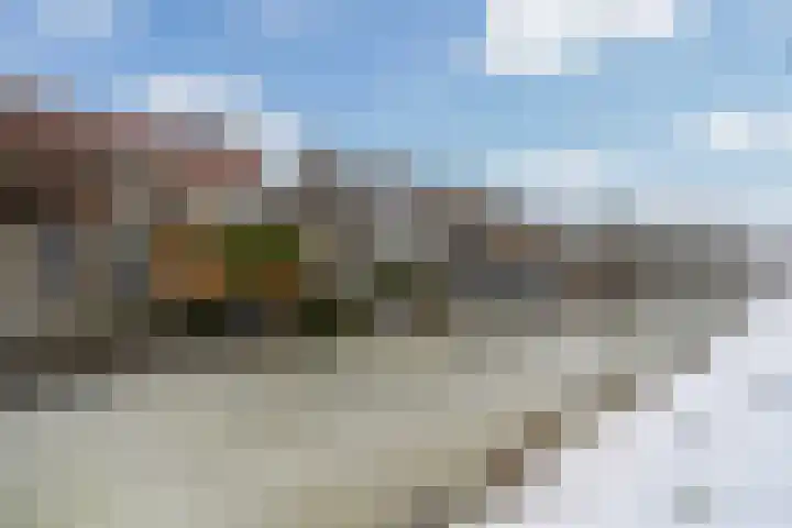 It Giele Fjild 53 Goutum thumbnail 35