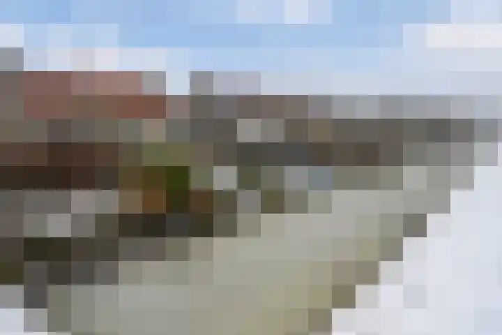It Giele Fjild 53 Goutum thumbnail 36