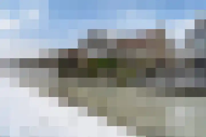 It Giele Fjild 53 Goutum thumbnail 37