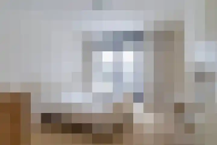 It Giele Fjild 53 Goutum thumbnail 5
