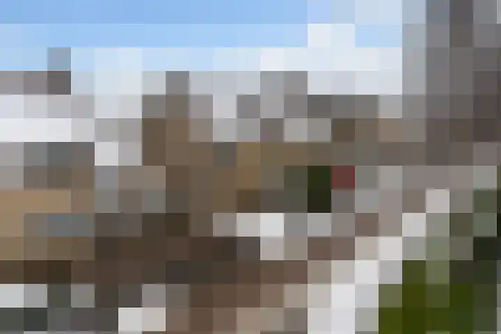 It Giele Fjild 53 Goutum thumbnail 8
