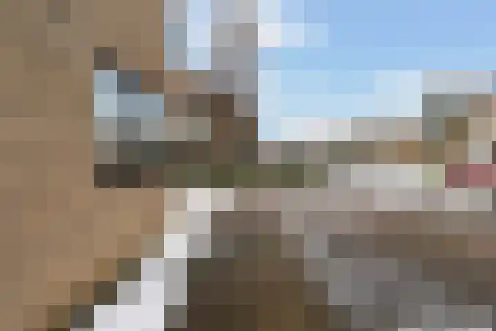 It Giele Fjild 53 Goutum thumbnail 9