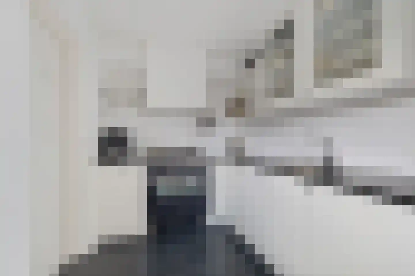 It Harspit 23 Nes thumbnail 24
