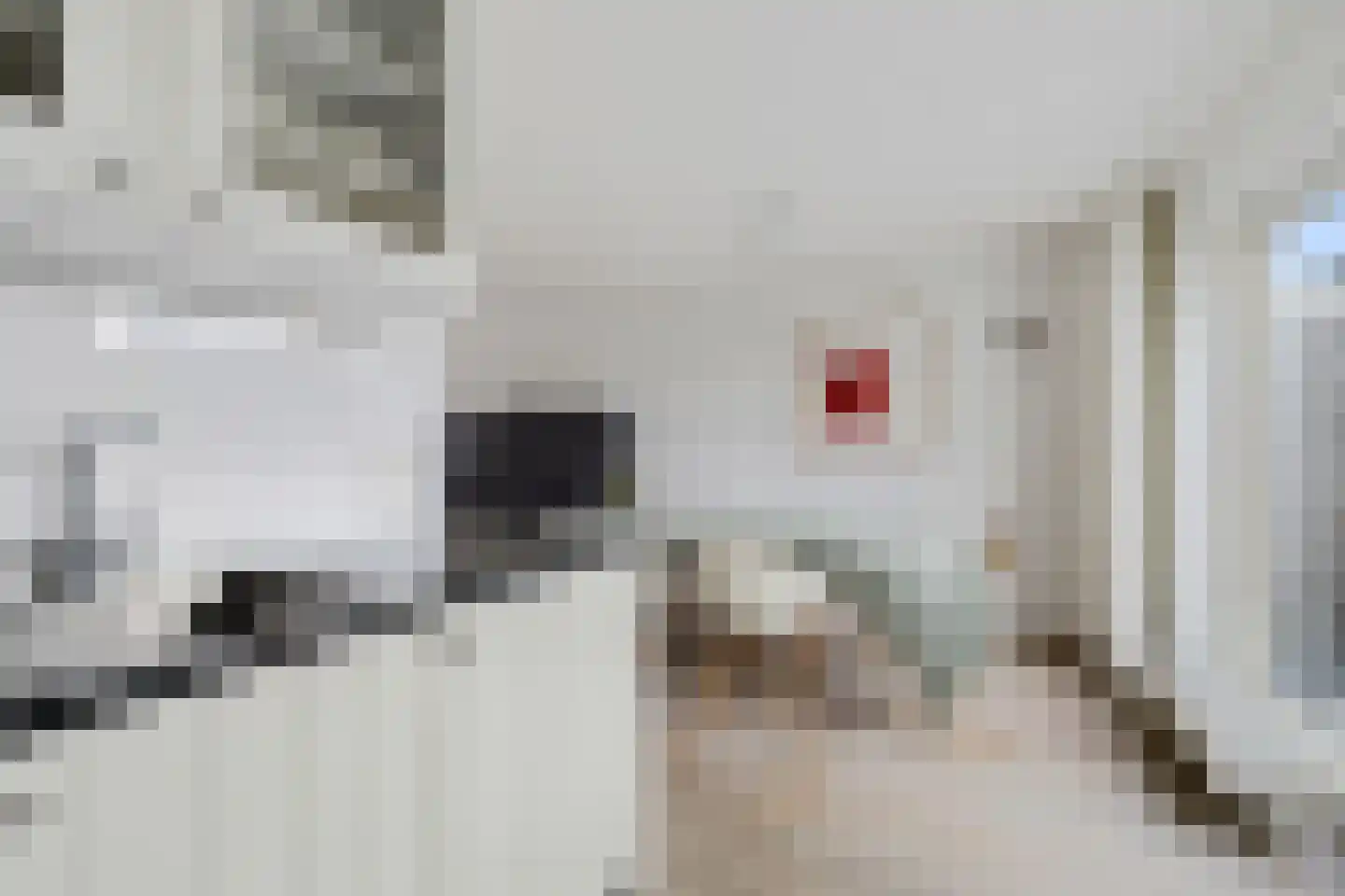 It Harspit 23 Nes thumbnail 26