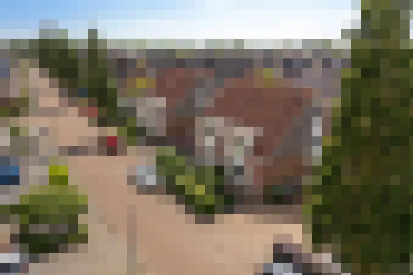 It Harspit 23 Nes thumbnail 53