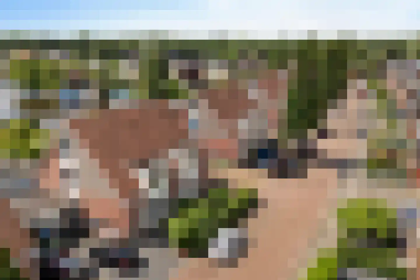 It Harspit 23 Nes thumbnail 57