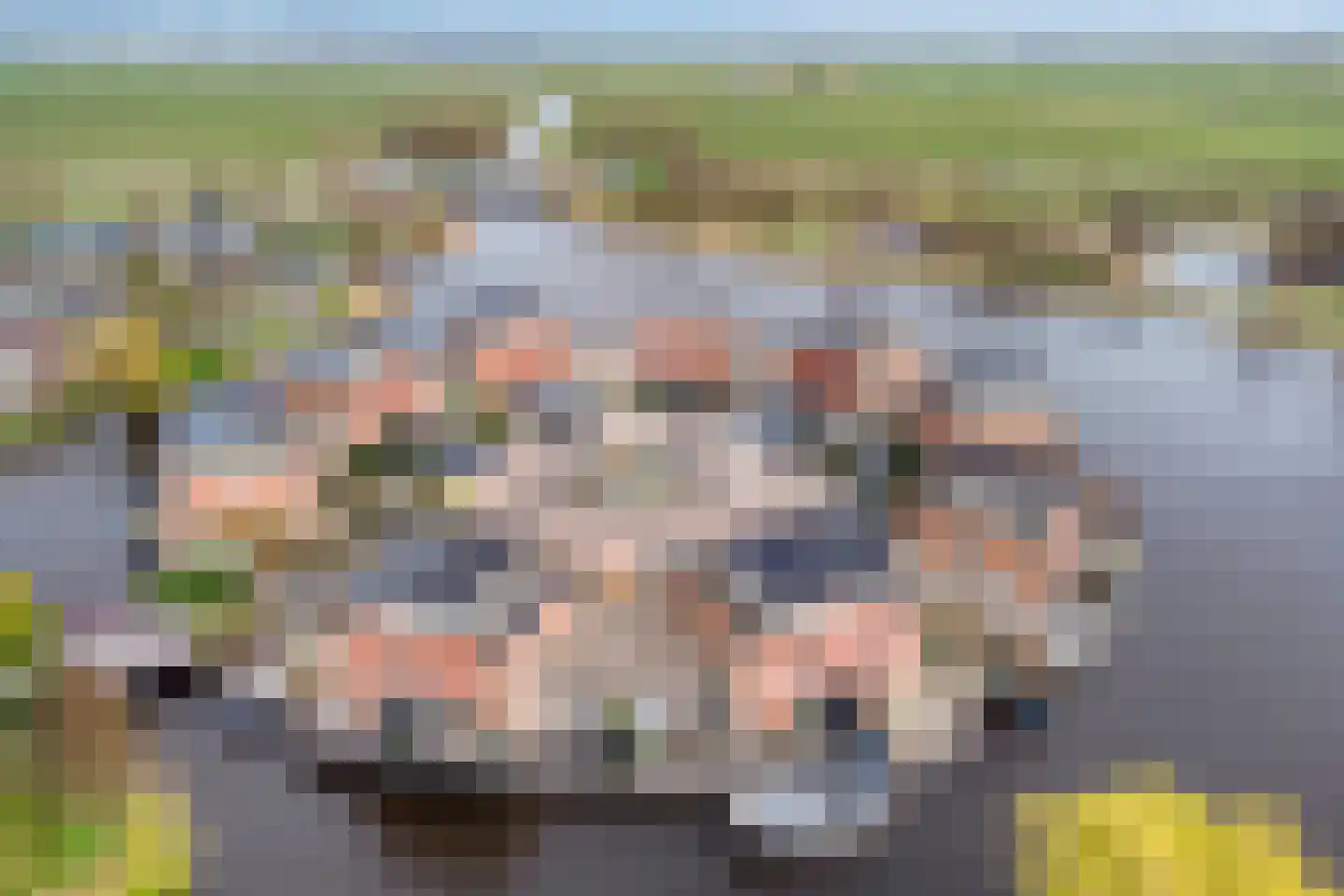 it Harspit 59 Sneek thumbnail 10