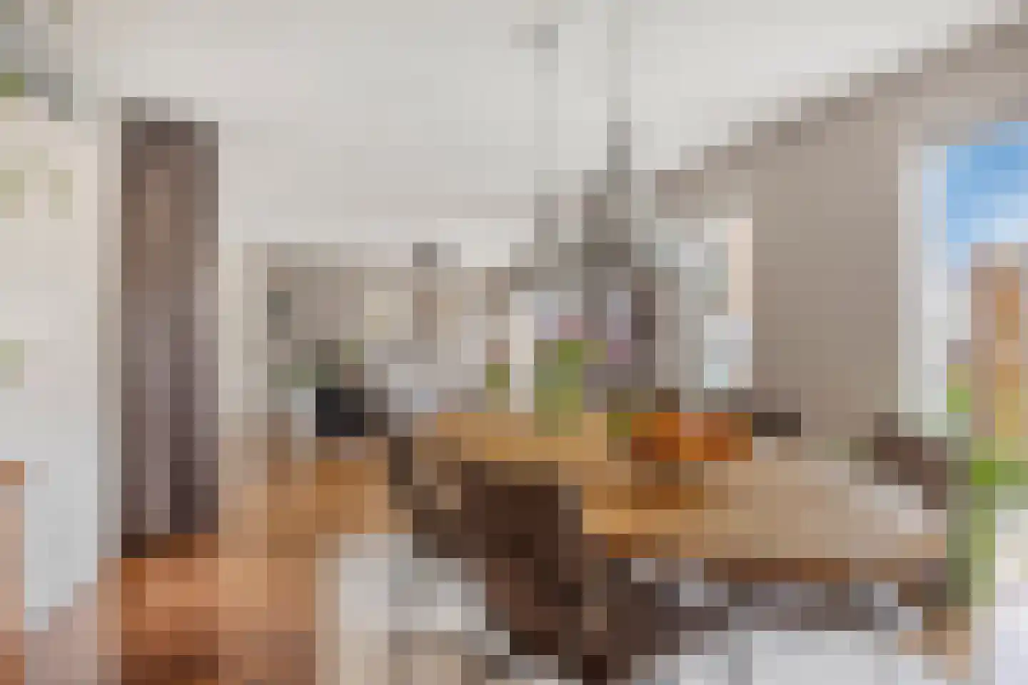 it Harspit 59 Sneek thumbnail 23
