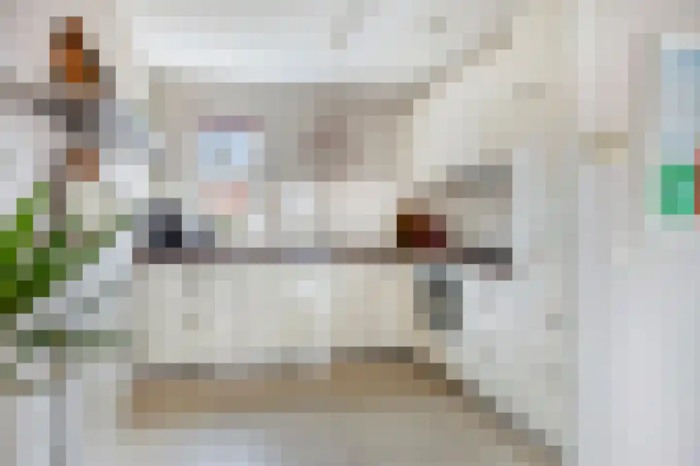 it Harspit 59 Sneek thumbnail 27